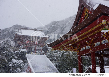 雪鶴岡八幡宮 9069946