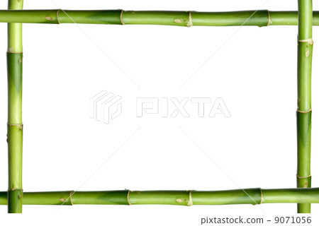 Green bamboo stick frame 9071056