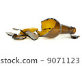 Shattered brown beer bottle 9071123