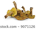 Few dried cepe mushrooms 9071126