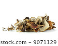 Dried cepe mushrooms on the rope 9071129