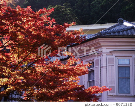 Hakone Fujiya hotel in Kinuyu 9071388