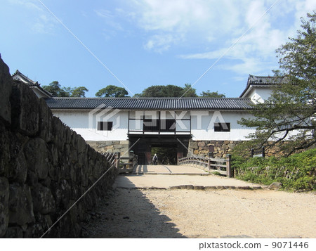 Hikone castle 9071446