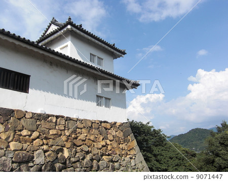 Hikone castle 9071447