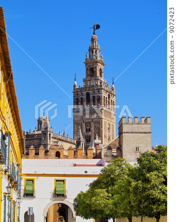Cathedral in Seville, Spain 9072423