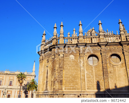 Cathedral in Seville, Spain 9072442