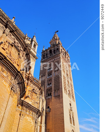 Cathedral in Seville, Spain 9072449