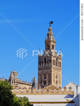 Cathedral in Seville, Spain Cathedral in Seville, Spain 9072461