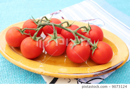 Tomatoes Tomatoes 9073124