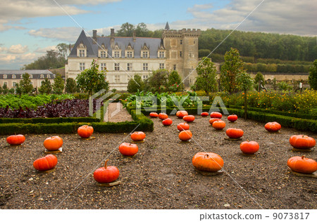 Villandry castle at fall day, France Villandry castle at fall day, France 9073817