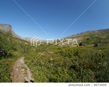 road in the mountains 9073894