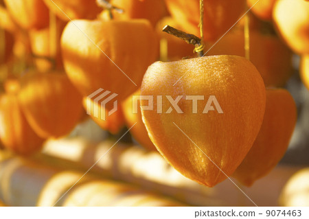 Yamanashi no Ryo persimmon 9074463