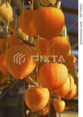 Making persimmons when rolling 9074465