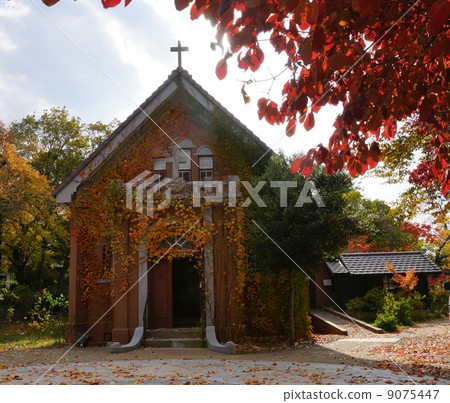 Autumn leaves of Shinshu Obuse Shinsei Hospital Chapel Autumn leaves of Shinshu Obuse Shinsei Hospital Chapel 9075447