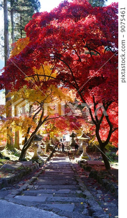 Nagano-shi retention Kiyomizudera autumn leaves Nagano-shi retention Kiyomizudera autumn leaves 9075461