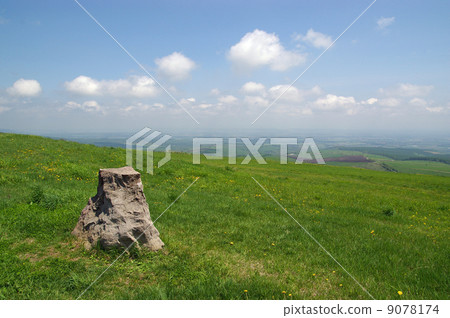 A plateau of Hokkaido that began early summer 9078174