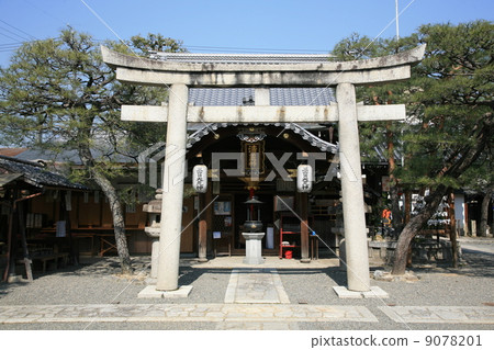 The main shrine of the bureau and Torii Torii 9078201