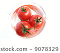 Mini tomato floating in water 9078329