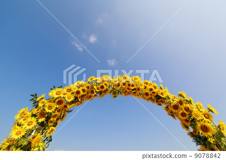 Arched Arrangement sunflower Arched Arrangement sunflower 9078842