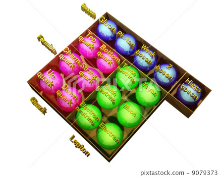 Elementary particle 9079373