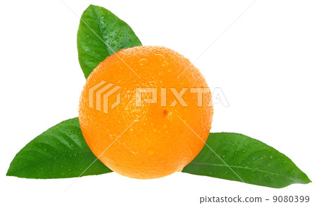 Sliced oranges close up. 9080399