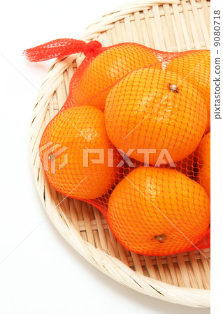 Mikan with a net 9080718