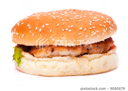 Hamburger Hamburger 9080876