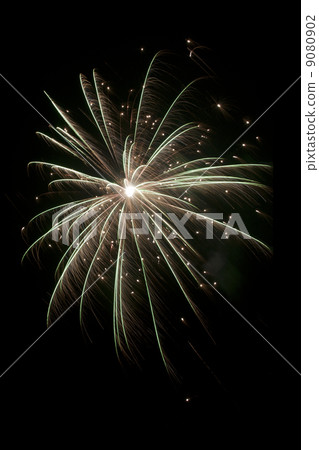 Firework 9080902