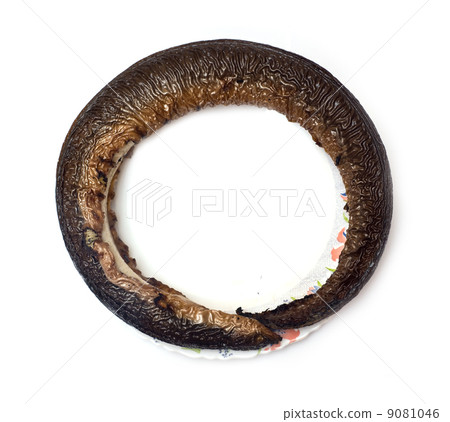Eel smoked 9081046