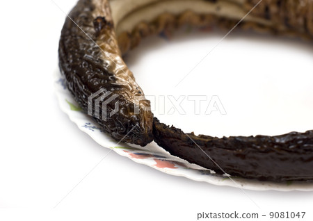 Eel smoked 9081047