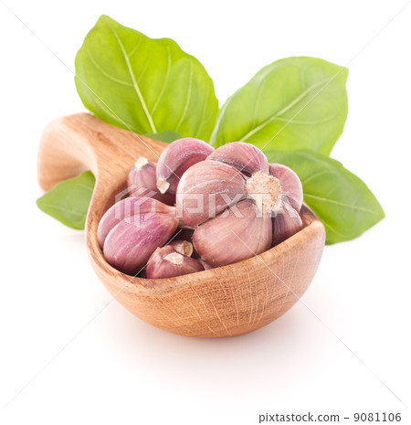 Garlic cloves in wooden bowl isolated on white background 9081106
