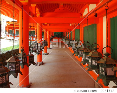 世界遺產奈良春日大社東部走廊 9081548