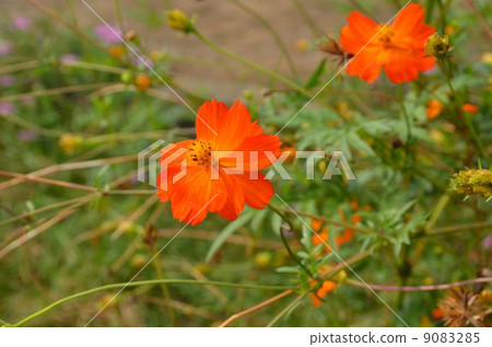 宇宙的問候 9083285