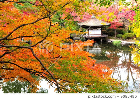 Wakayama Castle Red leaves garden garden 9083496