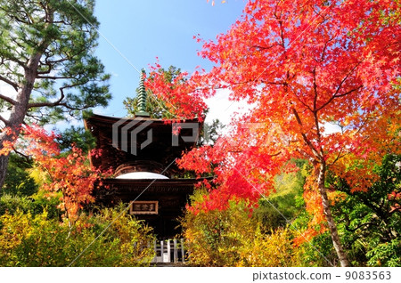 Jogakkoji Temple 9083563