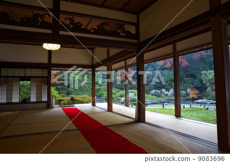 Selenin花園 Selenin花園 9083696