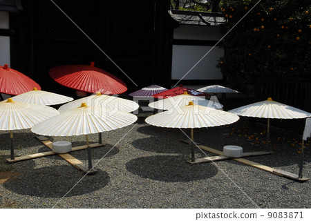 Garden scenery of Kyoto treasure temple Garden scenery of Kyoto treasure temple 9083871