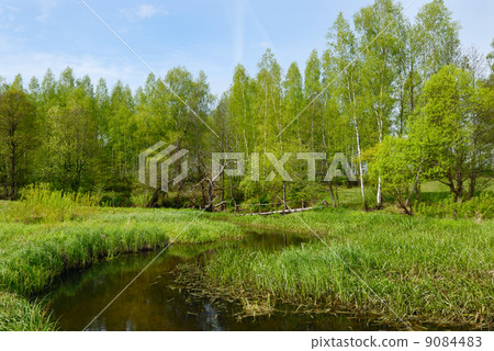 Landscape with a dry tree and the bridge. Landscape with a dry tree and the bridge. 9084483