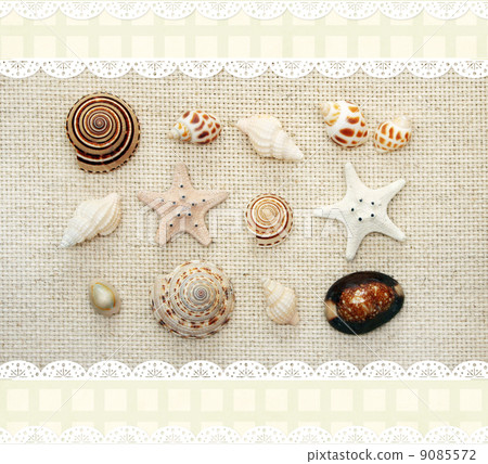 Starfishes and conches on canvas texture 9085572