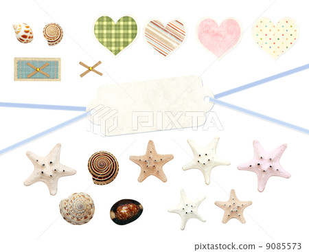 Collection of old labels and starfishes 9085573