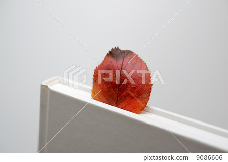 Leaf bookmark Leaf bookmark 9086606