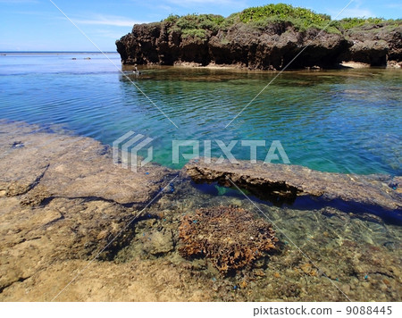Iriomote Island star sand beach Iriomote Island star sand beach 9088445