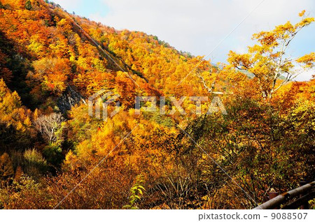 西川谷徒步之旅 西川谷徒步之旅 9088507