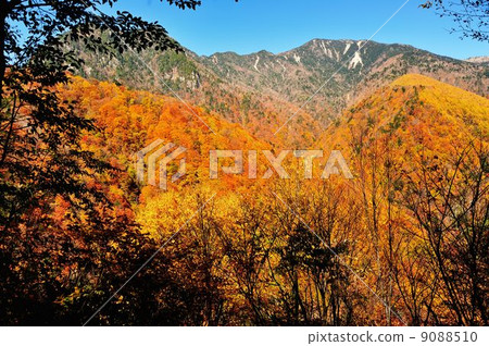 西川谷徒步之旅 9088510