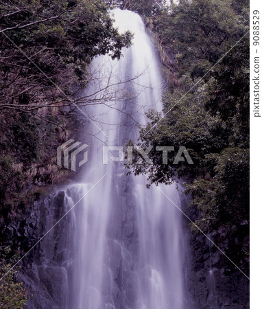 Saruto waterfall of the spring rain 9088529