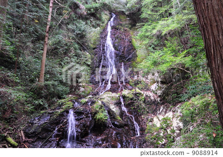 Nishikino's waterfall (Otaki) 9088914