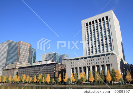 Autumn leaves of Hibiya-dori Autumn leaves of Hibiya-dori 9089597