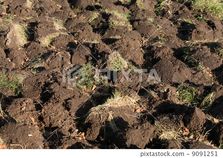 Agricultural land 9091251