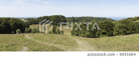 View from mountain Aborrebjerg (Mon, Denmark) 9091664