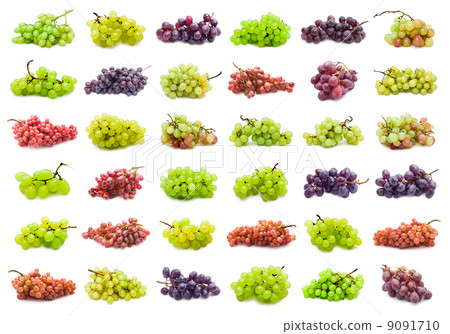 Grapes Grapes 9091710
